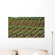 Diagonal Vineyard Rows Wall Decal