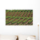 Diagonal Vineyard Rows Wall Decal