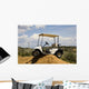 Golf Cart Wall Mural