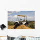 Golf Cart Wall Mural