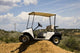 Golf Cart Wall Mural