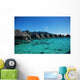 Moorea Blue