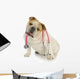 Dog With Stethoscope Wall Decal