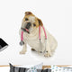 Dog With Stethoscope Wall Decal