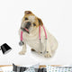 Dog With Stethoscope Wall Decal