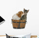 Puppy and Kitten Wall Decal