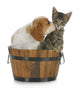 Puppy and Kitten Wall Decal
