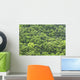 forest background Wall Mural