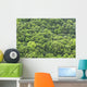 forest background Wall Mural