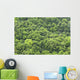 forest background Wall Mural