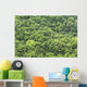 forest background Wall Mural