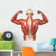 Male Back Muscular System