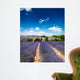 Provence France Lavender / lavender field in Provence, France Wall Mural