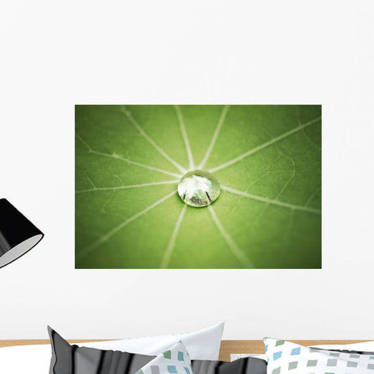 Lotus Leaf with Water Wall Decal