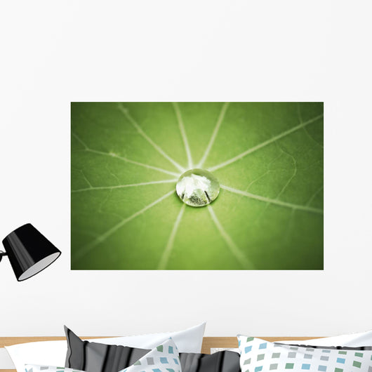 Lotus Leaf with Water Wall Decal