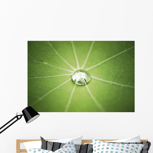 Lotus Leaf with Water Wall Decal