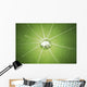 Lotus Leaf with Water Wall Decal
