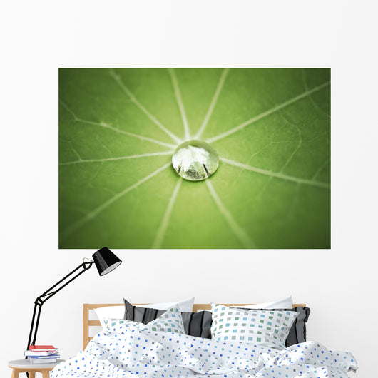 Lotus Leaf with Water Wall Decal