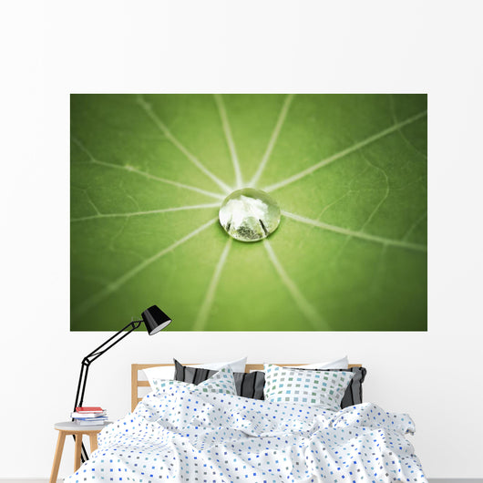 Lotus Leaf with Water Wall Decal