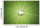Lotus Leaf with Water Wall Decal
