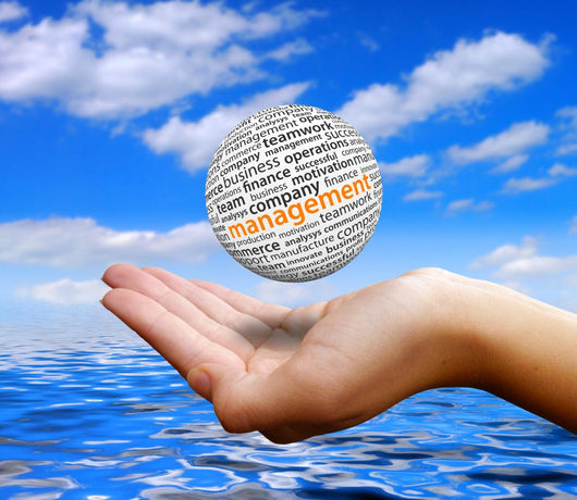 Ball Hand with Ocean