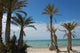 Plage Palmiers Wall Decal