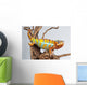 Chameleon Reptile Wall Decal