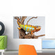 Chameleon Reptile Wall Decal
