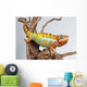 Chameleon Reptile Wall Decal