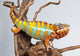 Chameleon Reptile Wall Decal