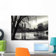 central park, new york Wall Mural