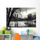 central park, new york Wall Mural