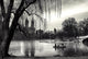 central park, new york Wall Mural