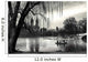 central park, new york Wall Mural