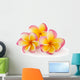 Frangipani Plumiera Frangipanni Wall Decal