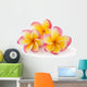 Frangipani Plumiera Frangipanni Wall Decal