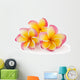 Frangipani Plumiera Frangipanni Wall Decal
