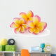 Frangipani Plumiera Frangipanni Wall Decal