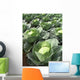 Choux Quintal D'alsace Wall Decal