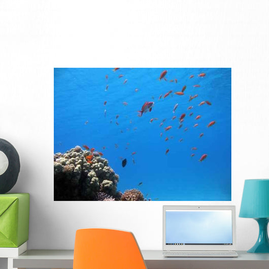 Coral Reef Scene 5 Wall Decal