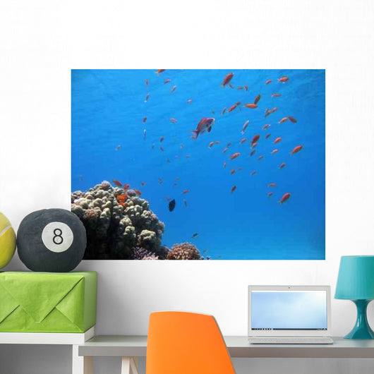 Coral Reef Scene 5 Wall Decal