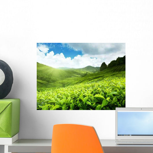 Tea Plantation Cameron Highlands Wall Decal Design 1