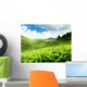 Tea Plantation Cameron Highlands Wall Decal Design 1