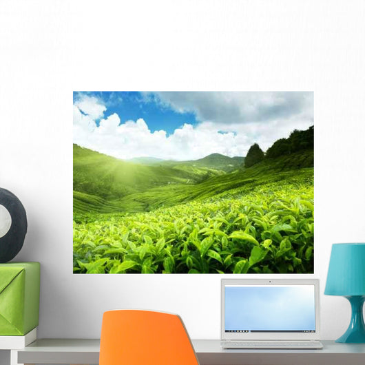 Tea Plantation Cameron Highlands Wall Decal Design 1
