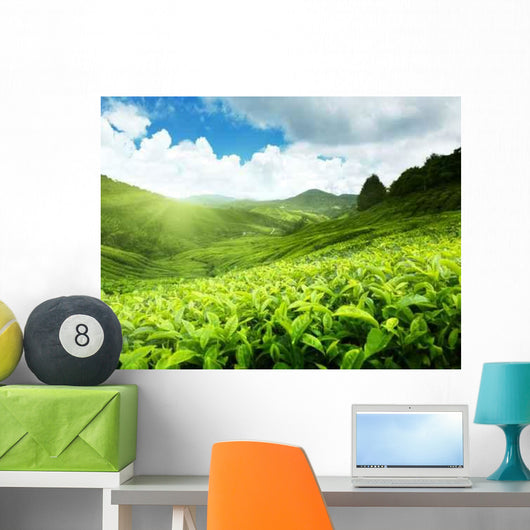 Tea Plantation Cameron Highlands Wall Decal Design 1