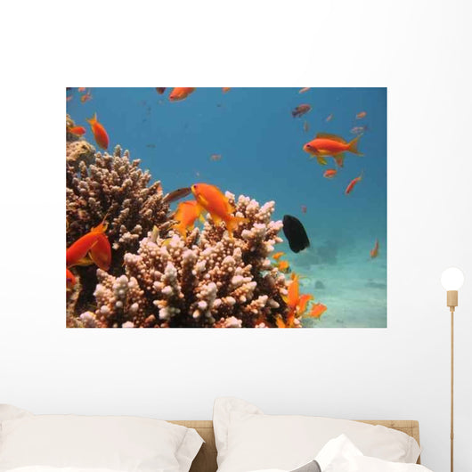 Coral Reef Scene 4 Wall Decal