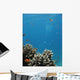 Coral Reef Scene 3 Wall Decal