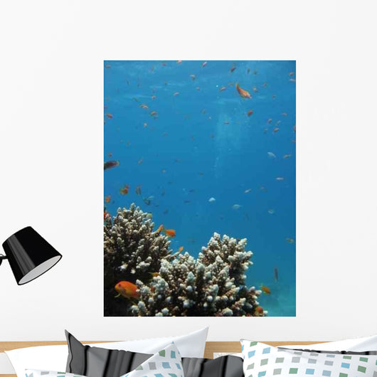 Coral Reef Scene 3 Wall Decal