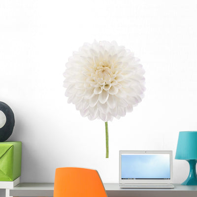 Dahlia Wall Decal shown on a wall