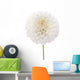 Dahlia Wall Decal